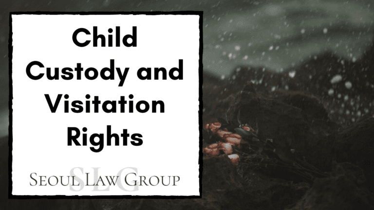 child custody korea